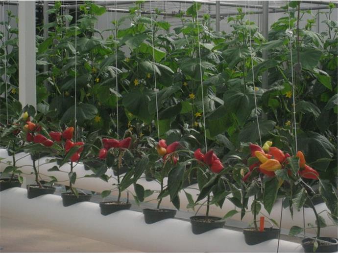 兩年一次　農會招考新進人員