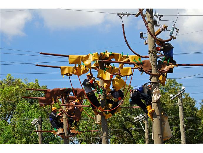 台電去年盈餘611億創歷史新高