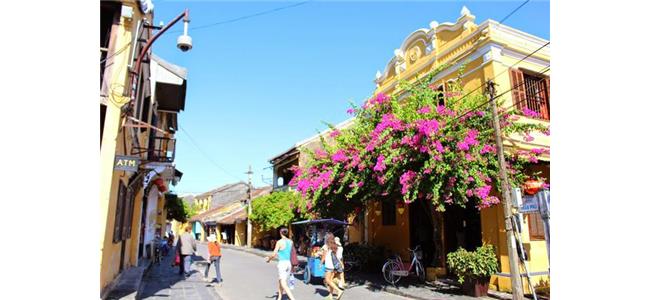 新興國家-認識越南